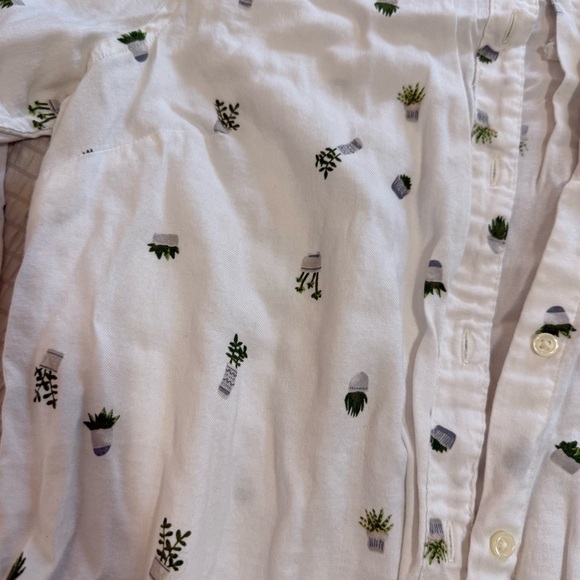 ON White Button Down Potted Plants large - Picture 2 of 4